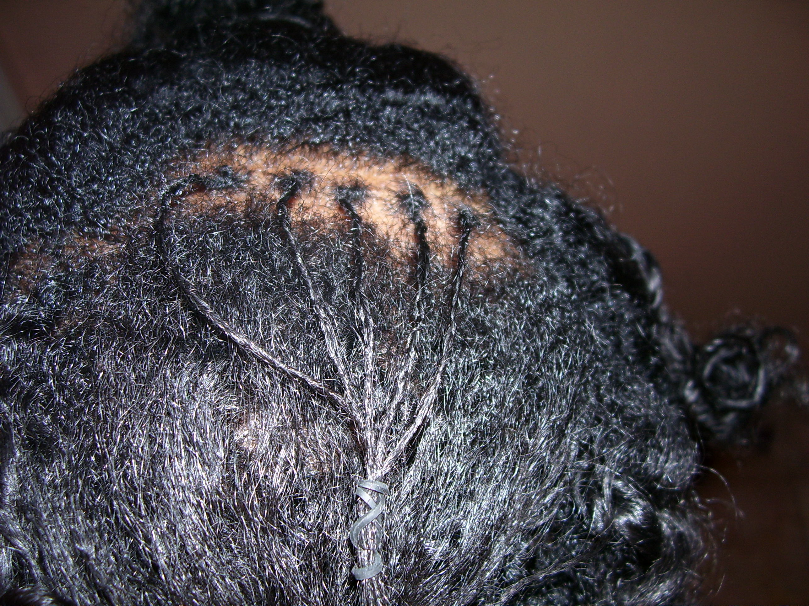 A Natural Beginning - My Journey to Sisterlocks and Beyond 